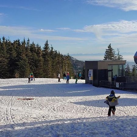 Bdapartmany Lipno nad Vltavou Exterior photo